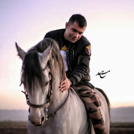 فرهاد جهانگیری غریبه